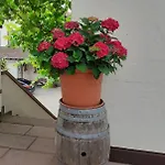 Otel Weingut Gernert Sankt Martin