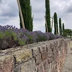 Weingut Gernert Otel Sankt Martin