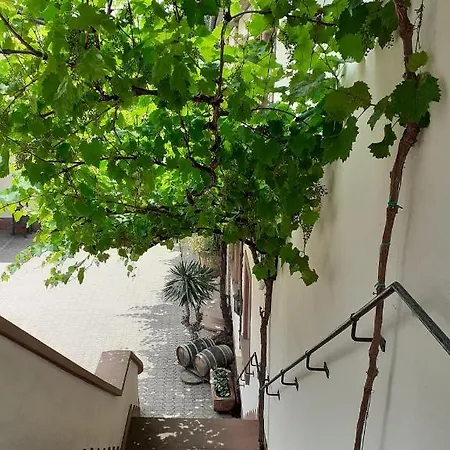 Weingut Gernert * 상트마틴