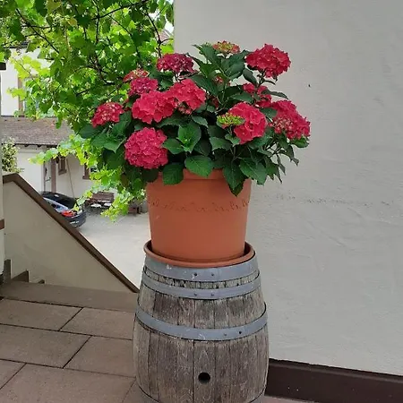 ホテル Weingut Gernert ザンクト・マルティン