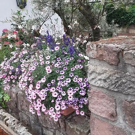 호텔 Weingut Gernert 상트마틴