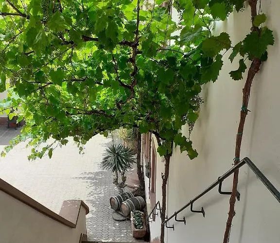 Weingut Gernert * Sankt Martin