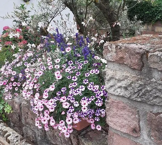 Hotel Weingut Gernert Sankt Martin